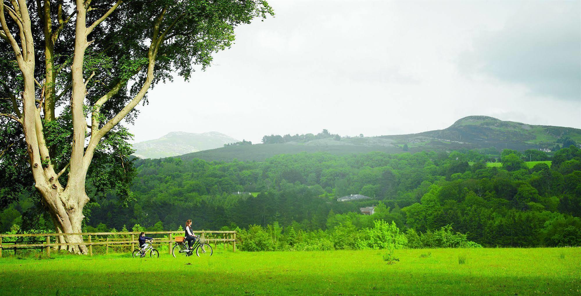 فندق باورسكورت، أوتوغراف كوليكشن® إنيسكري المظهر الخارجي الصورة View of the Black Forest from the Kaiserstuhl